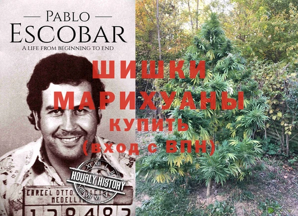 эйфоретик Балахна