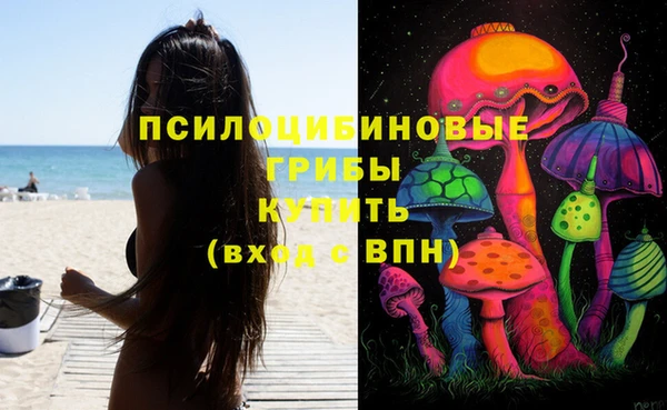 молекула духа Баксан