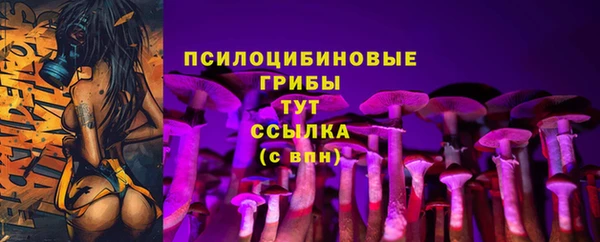 молекула духа Баксан