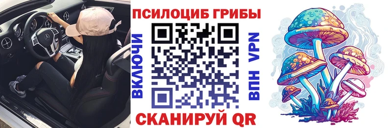 закладка Комсомольск Галлюциногенные грибы GOLDEN TEACHER